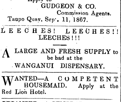 Leeches! Leeches!! Leeches!!! An excitable ad for fresh leeches from the Wanganui Dispensary. Wanganui Herald, 11 September 1867, pg 3.