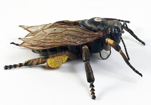 19th century papier-mâché anatomical model of a worker bee made by Dr. Louis Thomas Jerôme Auzoux