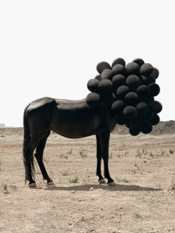 Photograph by Andrea Galvani of black horse with head covered by black balloons.