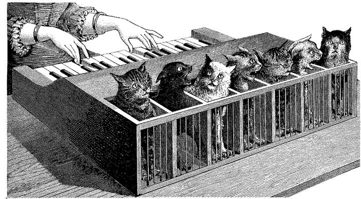 cat-organ-la-nature-1883-poyet1.jpg
