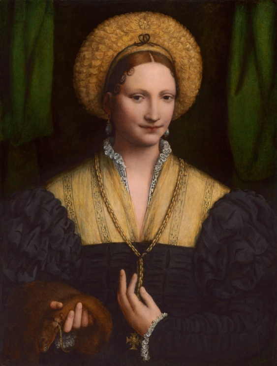 Portrait of a Reniassance noblewoman holding a weasel with particularly vicious-looking teeth