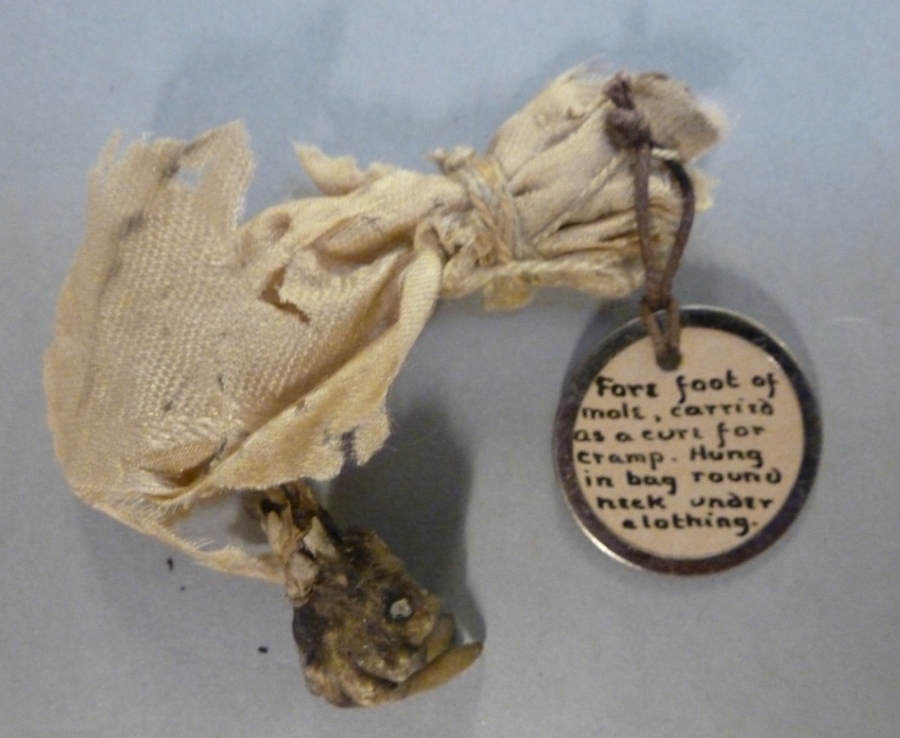 Photograph of a mole foot with a disintegrating cotton pouch, tied to a small round handwritten label